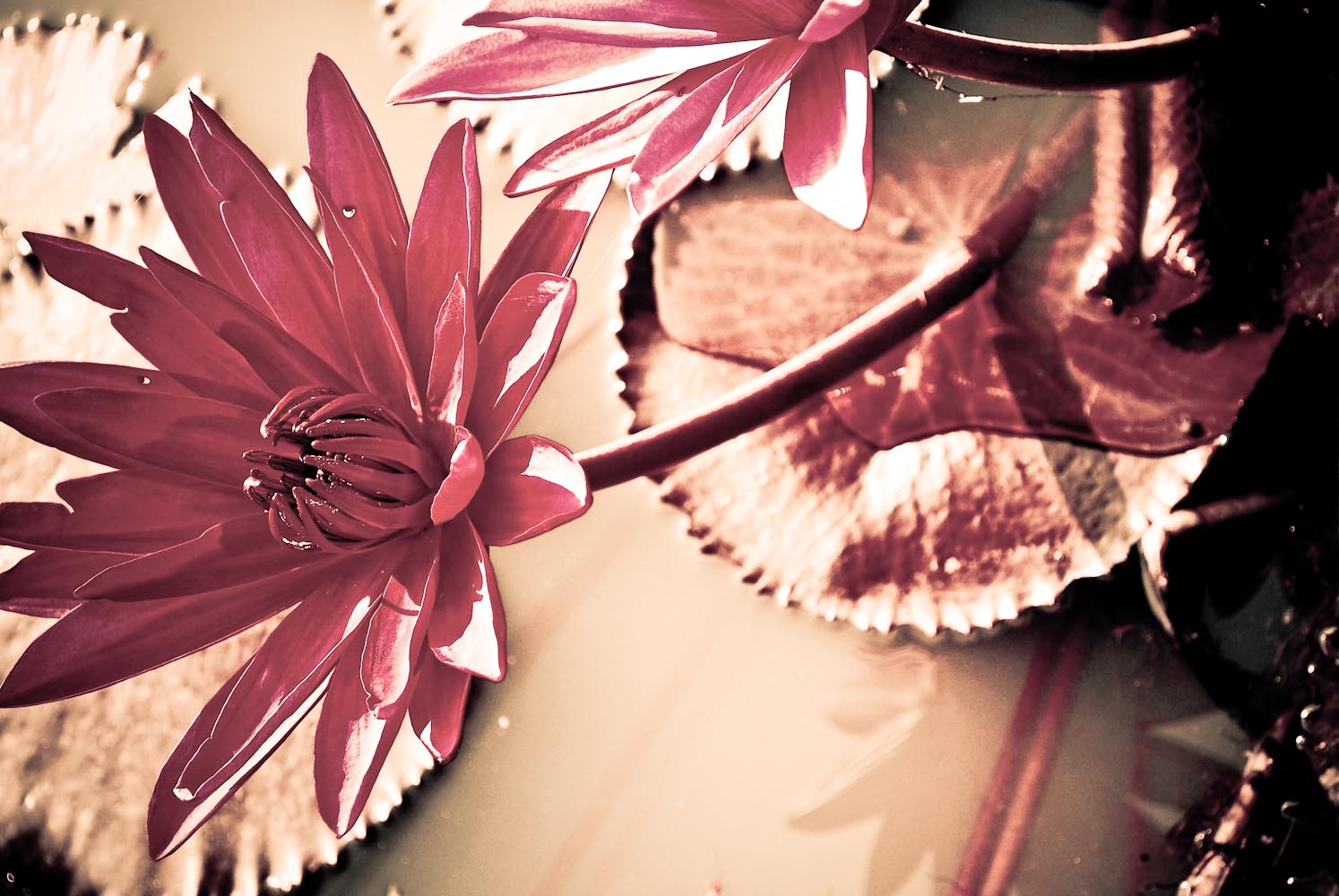 Balance Your Energies