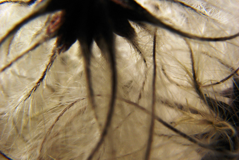 autumn (c) Rising Damp_ED