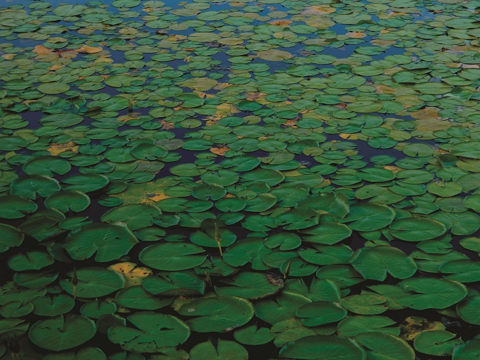 Discover What Controls Your Life!