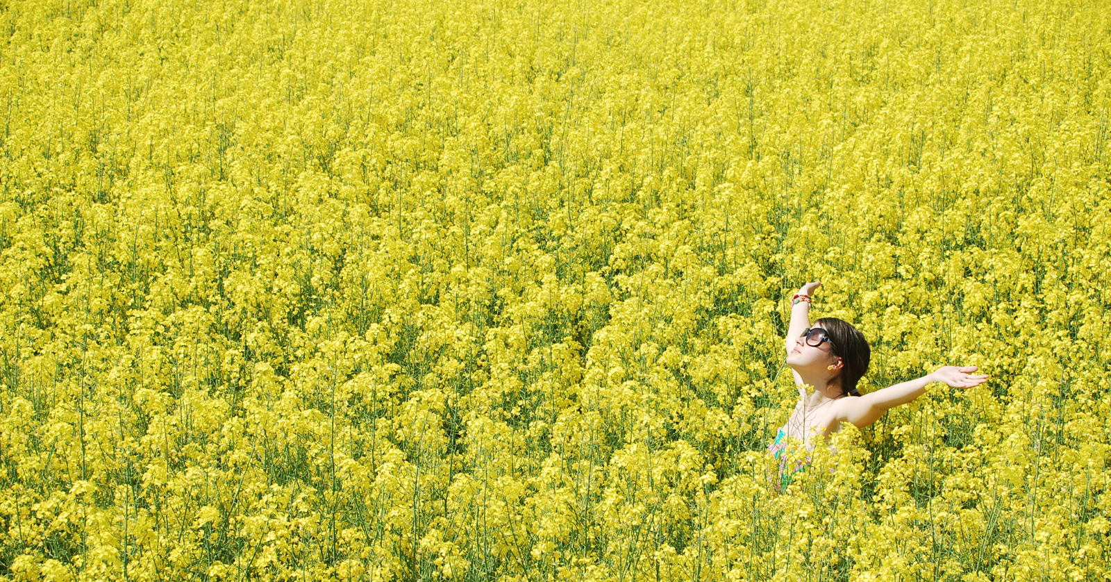 stockvault-freedom118151