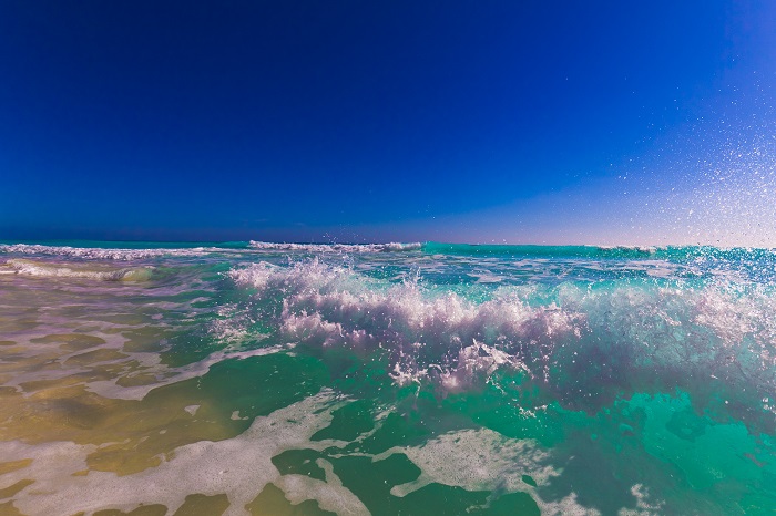 Bring World Peace By Unclutching Photo (c) Trifon Marchovski