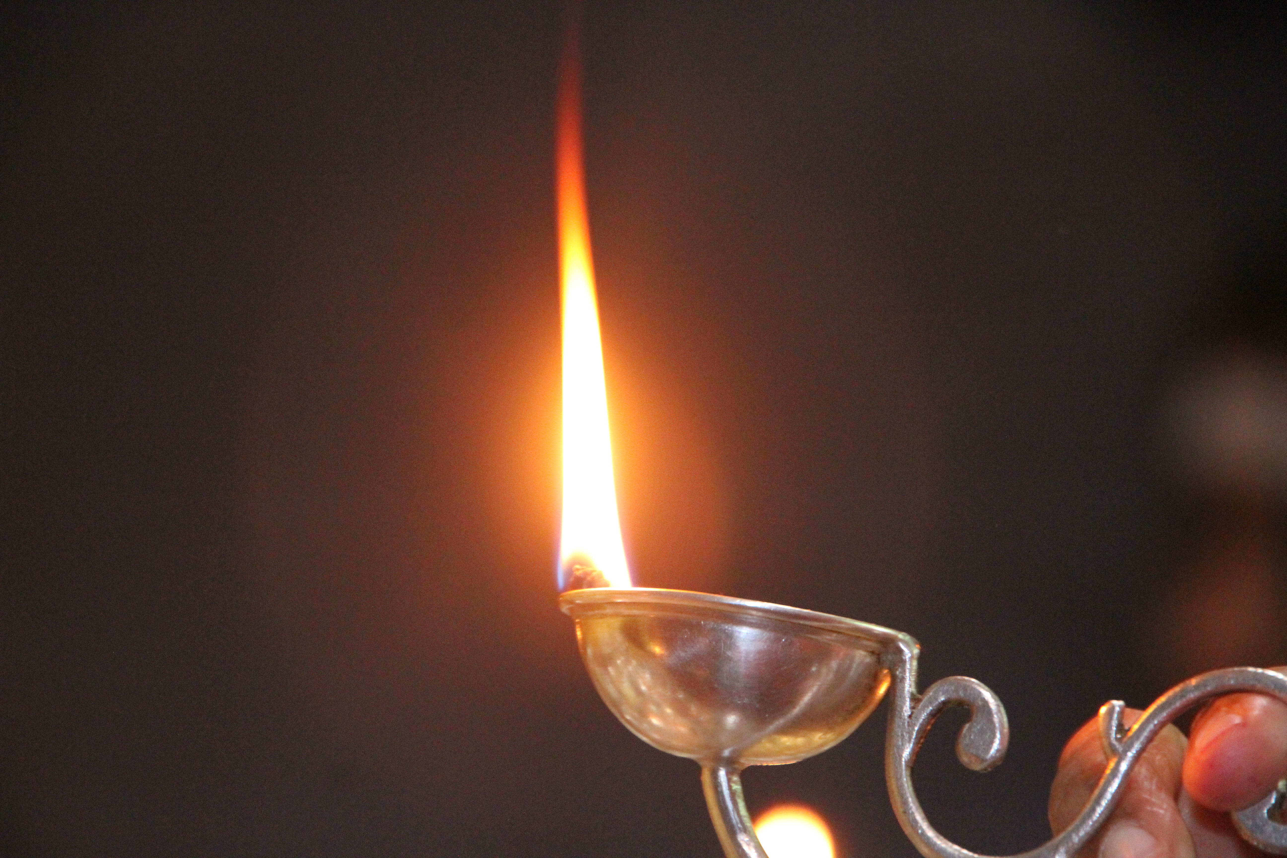 The Celebration that Began with Liberation!